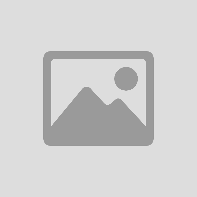 REGIONAL AND NATIONAL LAWS ON PLATFORM LIABILITY AND ACCOUNTABILITY
